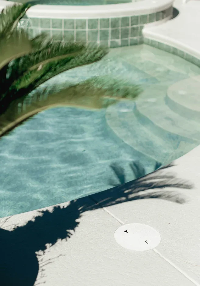 Pool steps shaded by a palm frond