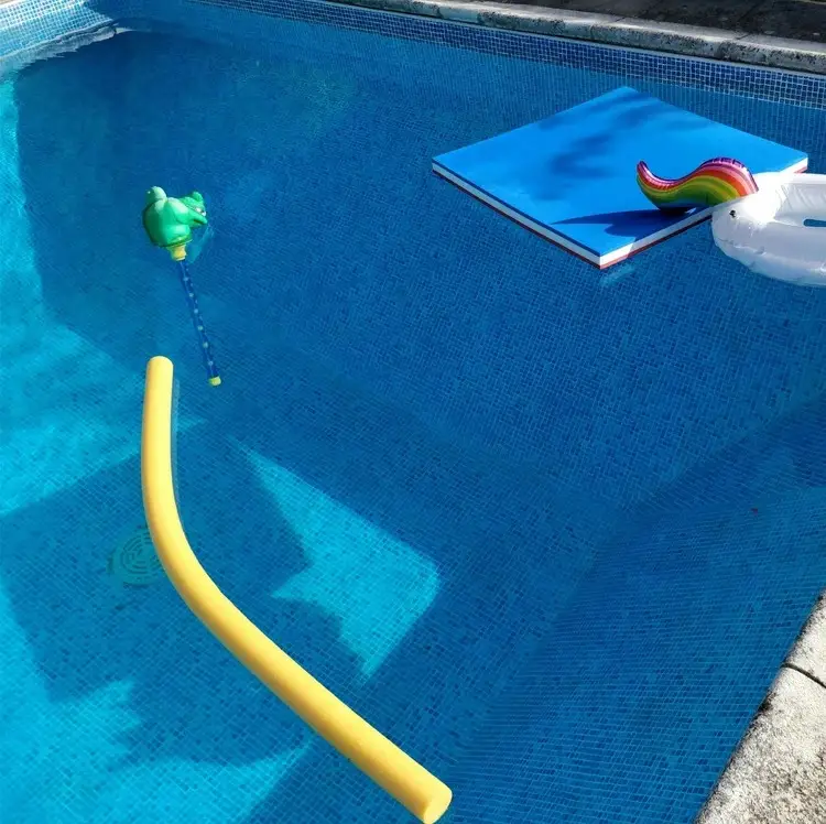 Backyard pool with a pool noodle and floats