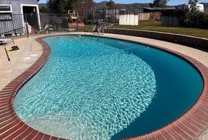Kidney-shaped backyard pool with brick coping