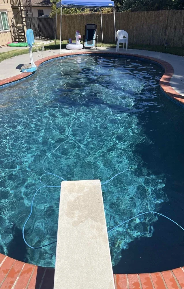 Backyard pool with diving board and patio canopy in San Luis Obispo