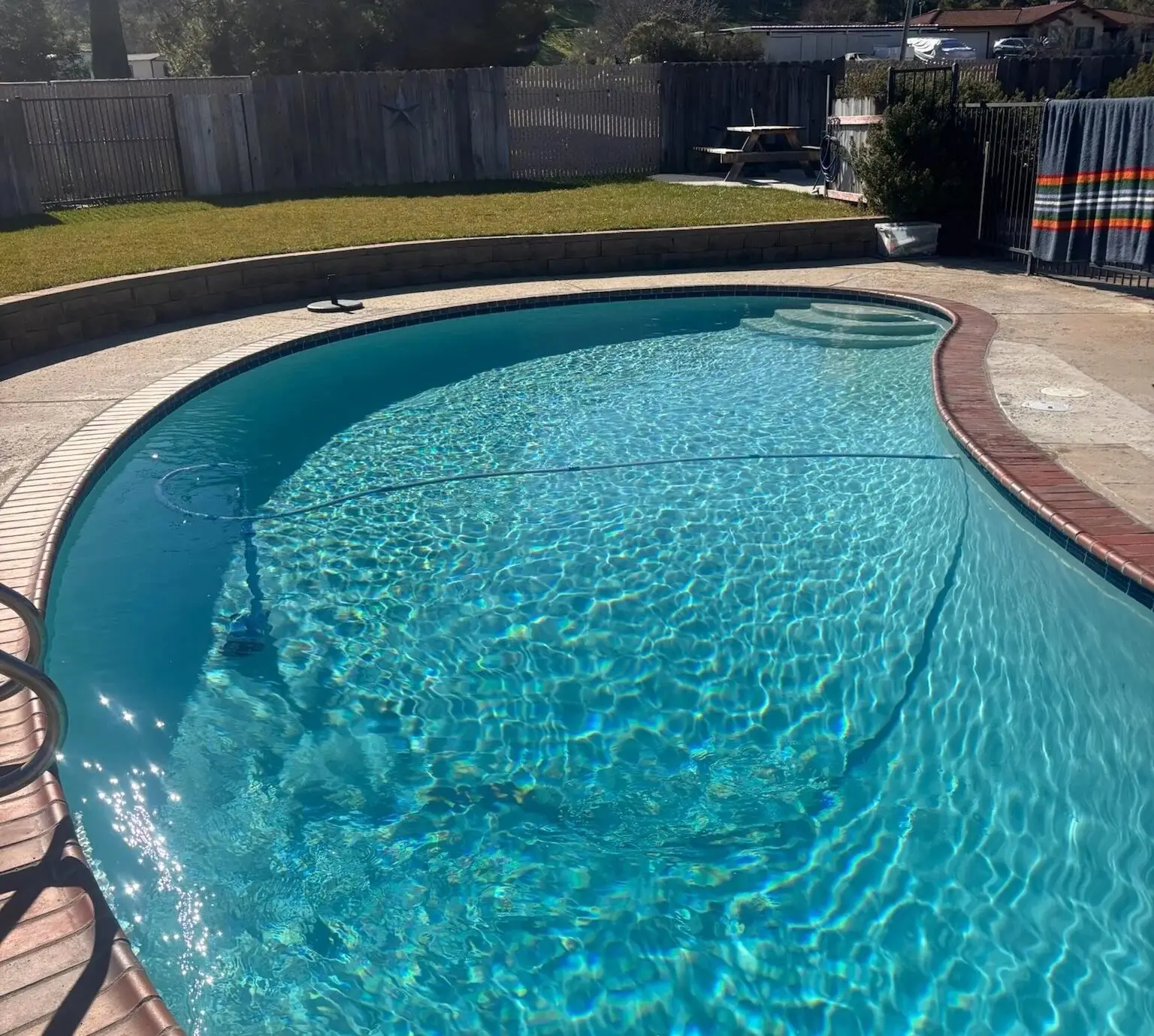 Kidney-shaped backyard pool