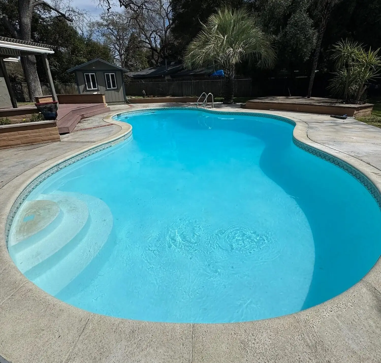 Freeform backyard pool with clear light-blue water