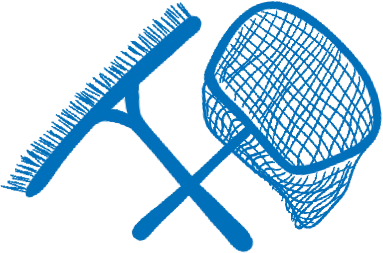 Pool brush and skimmer net illustration
